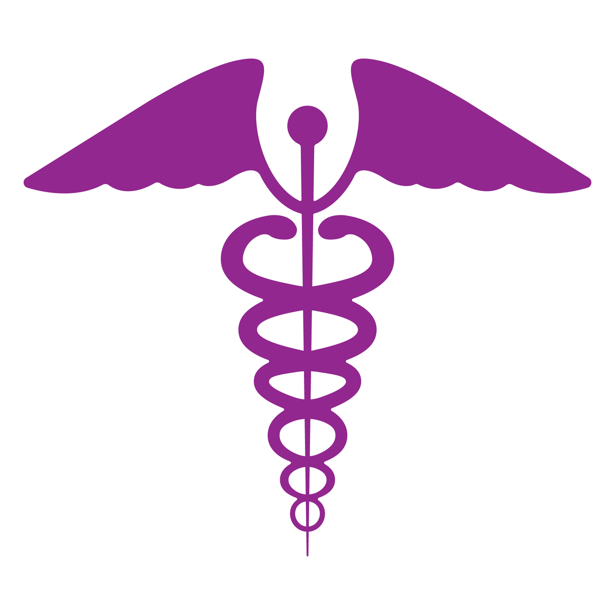 Medical Symbol Icon