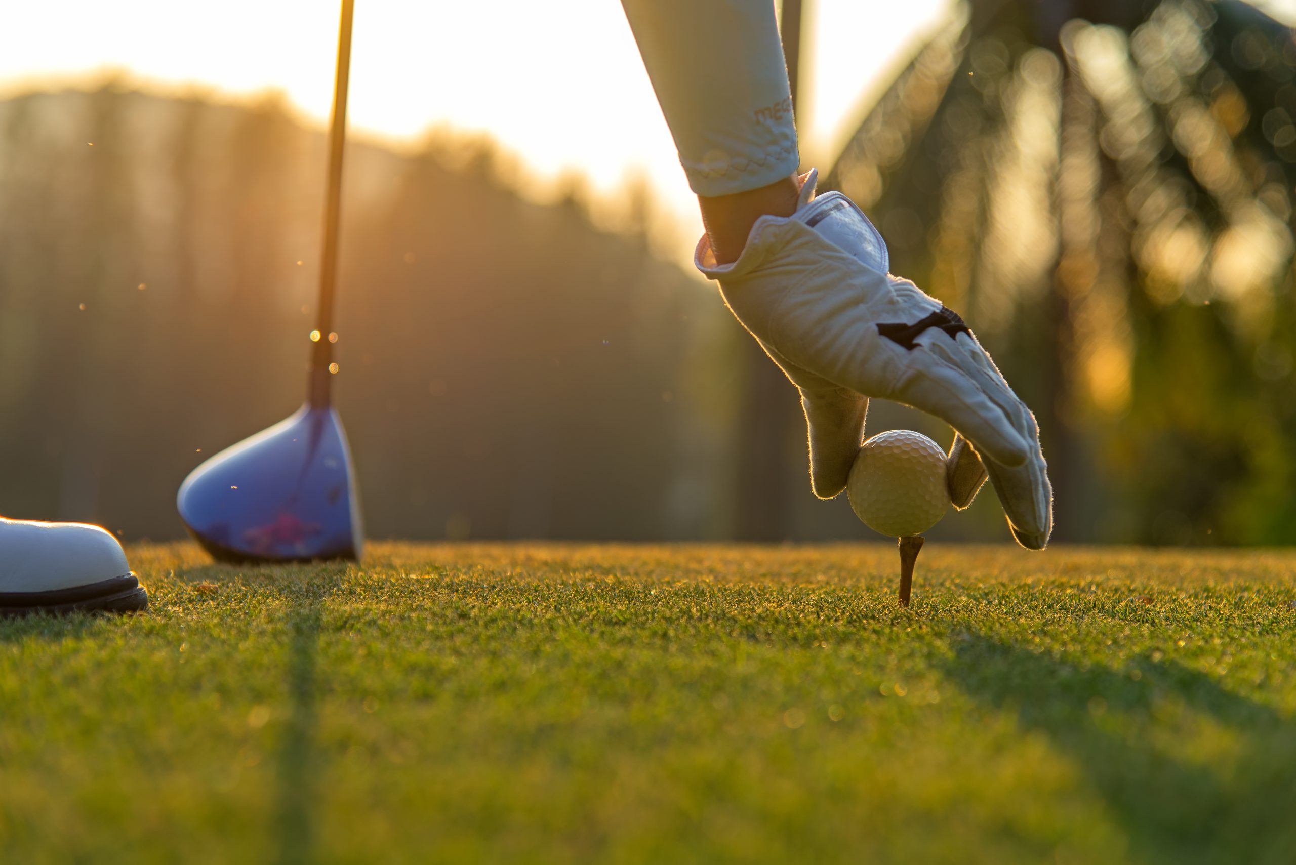 Platte County Golf Tournament