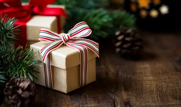 Make the Holidays Brighter: Y Giving Tree 2024